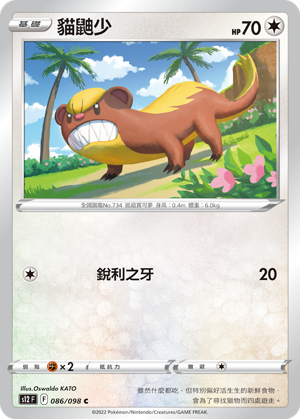 086/098 貓鼬少