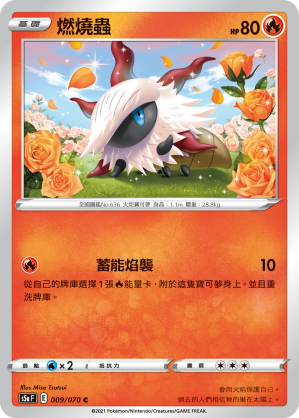 009/070 燃燒蟲
