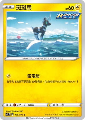 021/070 斑斑馬
