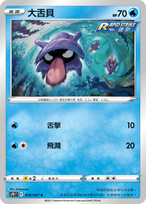 018/067 大舌貝