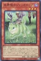 RC04SR-JP014 《未界域のジャッカロープ》