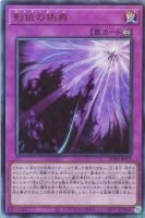 RC04UL-JP078 《影依の偽典》