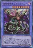 RC04UL-JP028 《捕食植物ドラゴスタペリア》