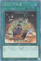 RC04EXSE-JP056 《儀式の下準備》