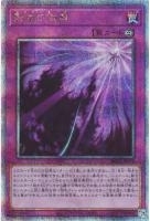 RC04QCSE-JP078 《影依の偽典》
