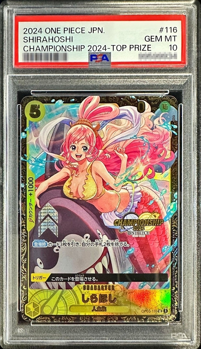 PSA10 しらほし CS2024