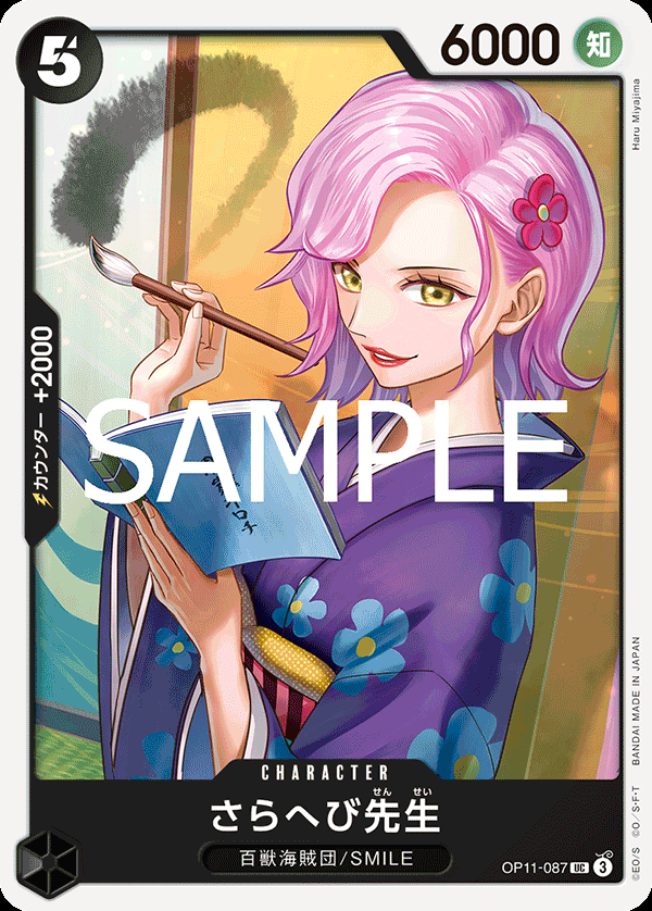 OP11-087 さらへび先生