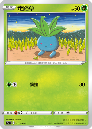 001/067走路草